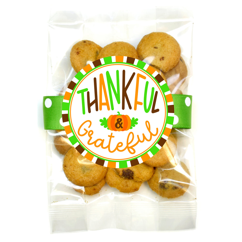 Fall, Thankful & Grateful - PTG