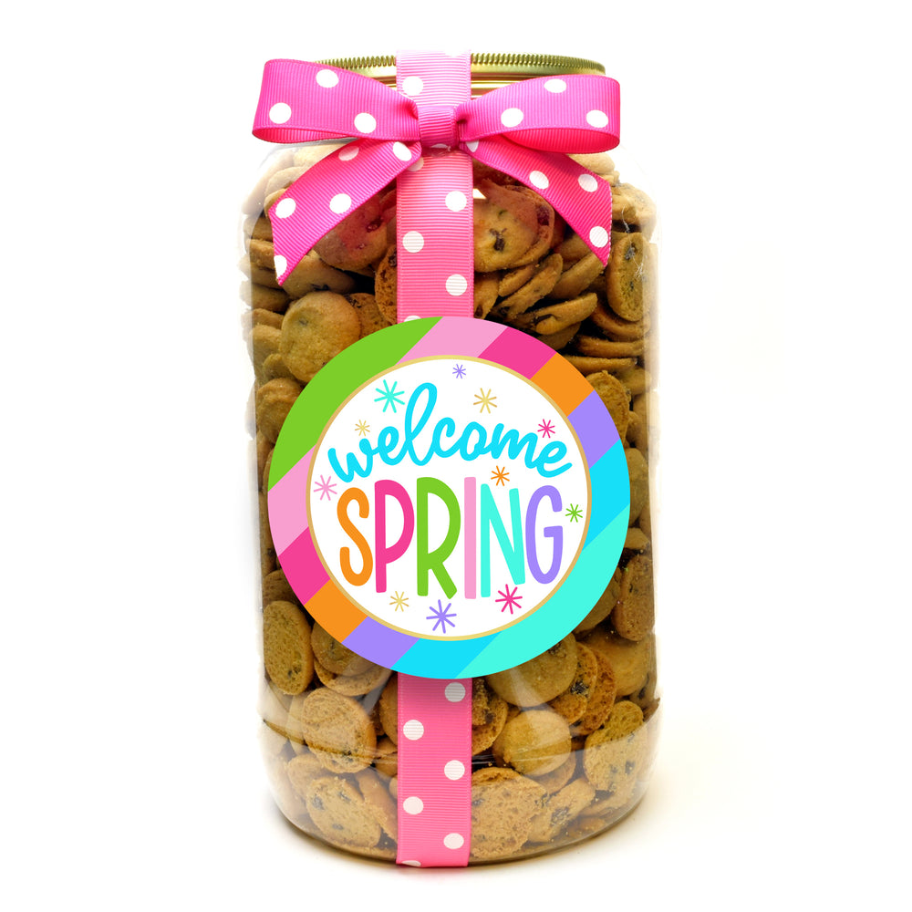 Chocolate Chip - Bright Stripe Welcome Spring