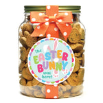 Chocolate Chip - The Easter Bunny was here!