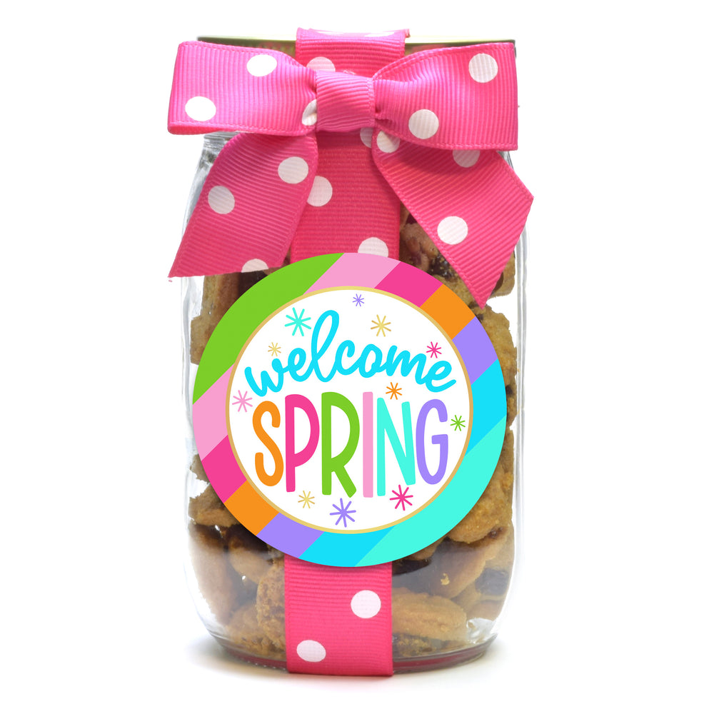 Chocolate Chip - Bright Stripe Welcome Spring