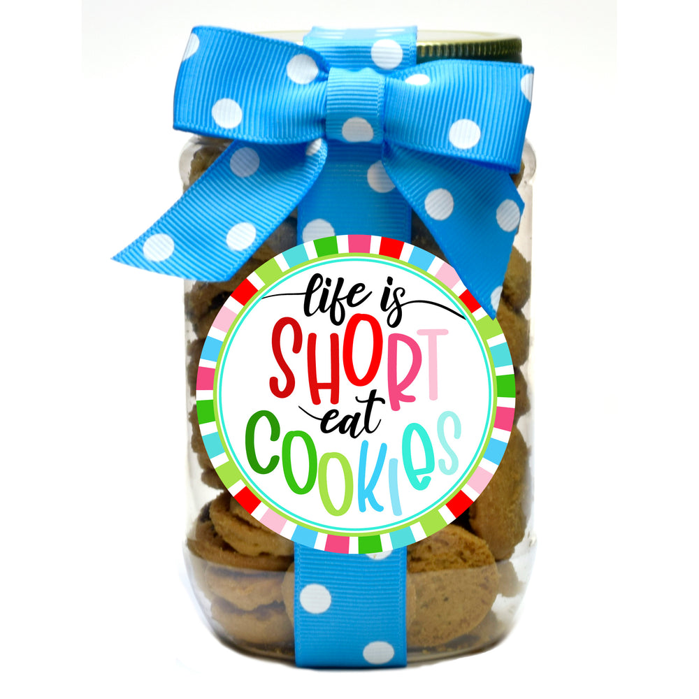 Chocolate Chip - Colorful Spokes Life is Short, Eat Cookies