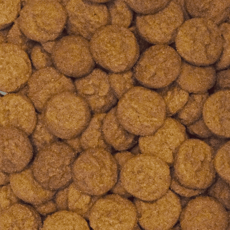 Ginger Snap